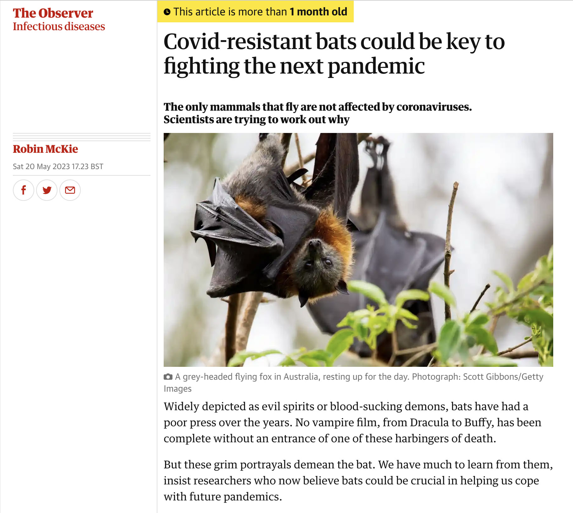 Screenshot from an online article from the Guardian. Headline reading: “Covid-resistant bats could be key to fighting the next pandemic”